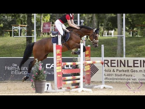 Stadl-Paura 105cm 1.Miesto 🥇🦋