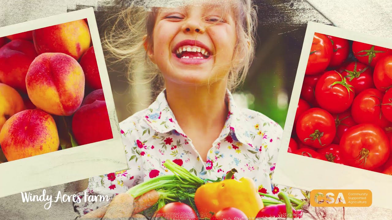 Windy Acres Farm CSA Program