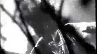 The Storm - Show Me The Way