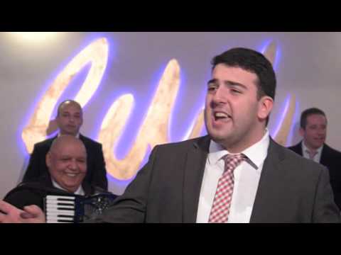 Nikola Petrackovic - Zbogom pameti - NG Program 2016 (TV Istok)