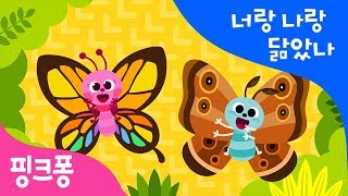 너랑 나랑 닮았나 | 나냐너녀 | 한글 떼기 | 핑크퐁 한글송 | 핑크퐁! 인기동요