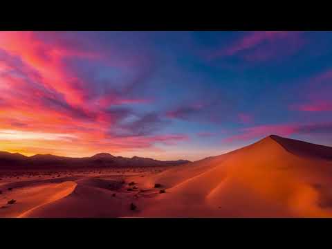 Tony Igy - Art of Voice