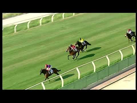 Napoli Galoppo 22/07/2022 - 2ª corsa