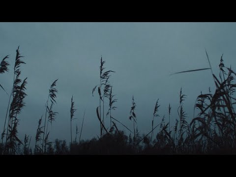 CRS - lächeln (Official Visualizer)