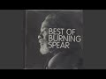 Not Stupid