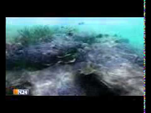 Tauchen Dokumentation