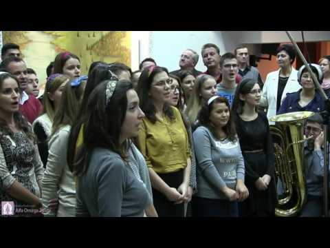 Alfa & Omega - Tineret - Lacrimile de durere când se vor sfârșii