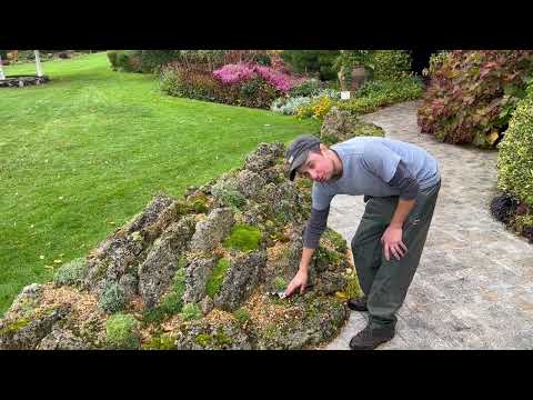 A look at the tufa bed in John’s Garden