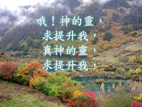 104神的聖靈
