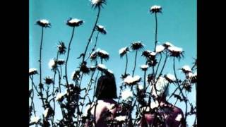 the creatures - strolling wolf