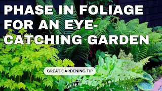 Ask the Experts Foliage Gardening #FoliagePlants #HomeGardening #GardenDesign  #GardenInspiration