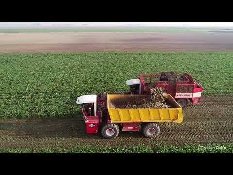 feunekes speelman Agrifac Hexa 12 Rijer