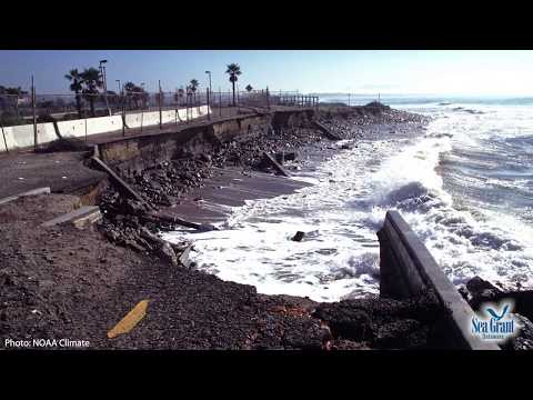 15 Second Science - Seawalls and Beach Erosion