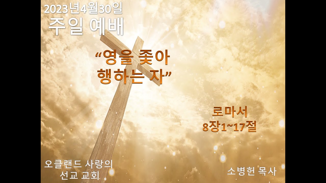 4월30일2023년 주일 예배   SD 480p/"영을 좇아 행하는 자"