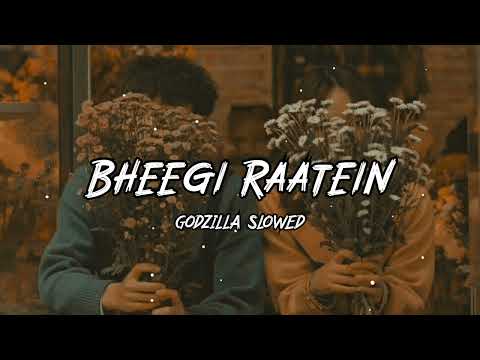 Bheegi Raatein (Rainy Nights) | D8 × Hasan Shah | (Slowed and Reverb)