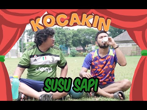 kocakin-susu-sapi