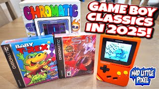Retro Gamers Got It GOOD! Game Boy Classic ModRetro Project S-11 & Baby T-Rex Are Here!