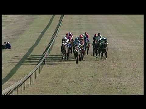 20190622 Scottsville Express Clip Race 6 won by SEVILLE ORANGE