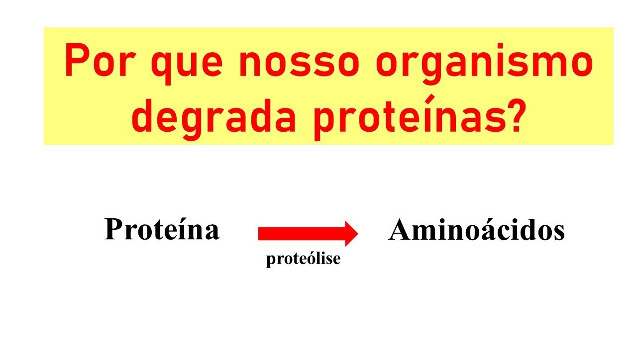 Proteólise: por que nosso organismo precisa quebrar proteínas?