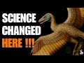 ARCHAEOPTERYX - The Dinosaur-Toothed Bird That Rewrote Evolutionary History | Science Documentary