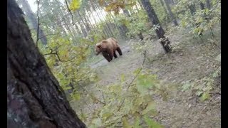 FACE TO FACE WITH A BEAR | OMG