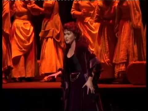 MEDLEY Agnes Zwierko