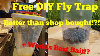 Making the best DIY fly trap, with the ultimate fly bait