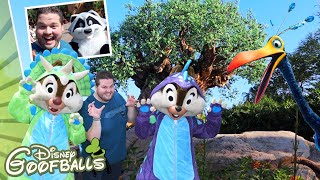Disney&#39;s Animal Kingdom! Avatar, Lion King, Yeti &amp; More At Walt Disney World 🇺🇸