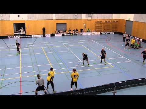 Maalikooste Cremasters-Coach Team 7.2.2015