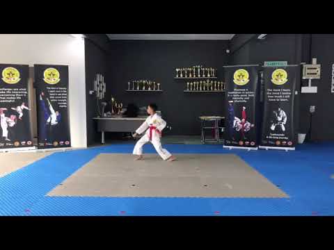 Muhammad Amar Danish -Taeguk5 -11YO -Sir Eddie