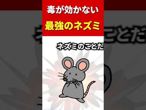 漂白剤はネズミを怖がらせますか?リーダーに従う  庭園