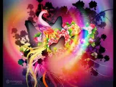 Independent Lady ~Ziggy Rankin~