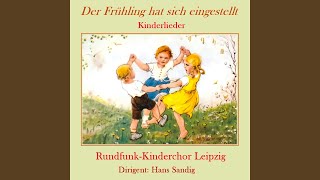 Alle Vögel sind schon da