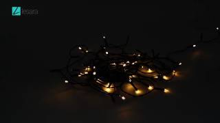 LED Fairy Lights with 8 Light Modes (Warm White) | LED-Lichterkette mit 8 Leuchtmodi warmweiß