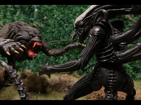 Alien (Xenomorph) vs. Werewolf