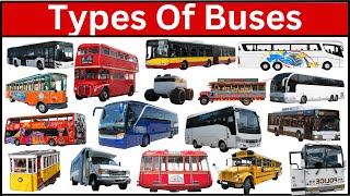 Download lagu School Bus, City Bus, Police Bus, Safari Bus | Learn All Bus Names mp3