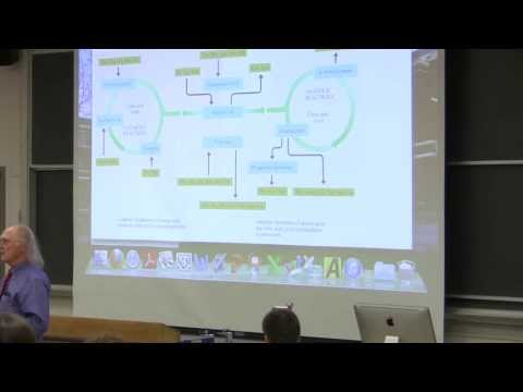 #35 Biochemistry Lecture (Nitrogen and Amino Acid Metabolism) from Kevin Ahern's BB 350