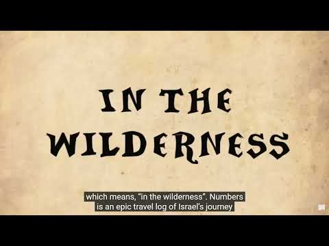 The Bible Project | Numbers Short Explainer Numbers 1 - 36