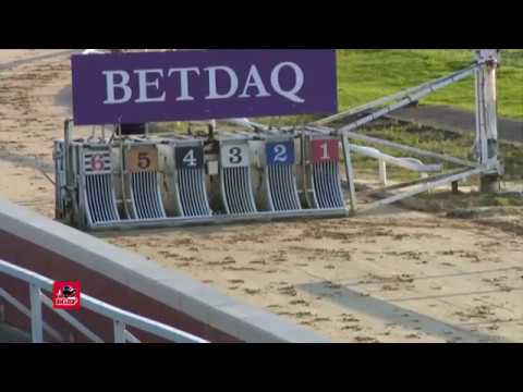 BGBF British Bred Oaks 1st Semi Final - Queen Franklin