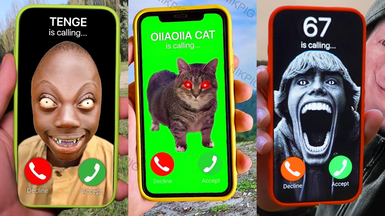 OIIAOIIA CAT vs TENGE TENGE vs 67 MEME best NIKPIG videos