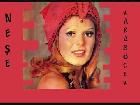 Neşe Karaböcek ~ Sildim Seni Kalbimden - Kaset Kayıtlar(1985)