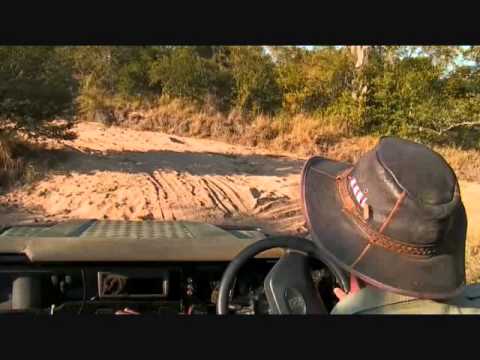 Part 1 PM Safari Drive at Djuma Game Reserve on May 19, 2015