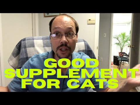 Supplement For Cats With Kidney Disease. 3 Tips For CKD Feline Health & Kidney Restore, Help Now!
