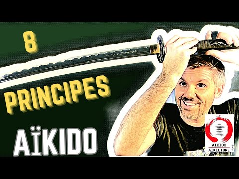 DÉVELOPPER 8 PRINCIPES AÏKIDO POUR PROGRESSER  #aikido #aikilibre