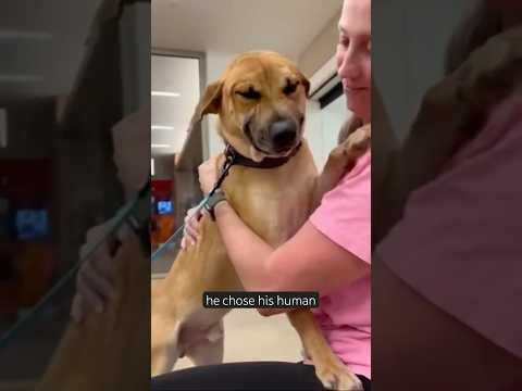 Eugene the dog with his foster person who adopted him