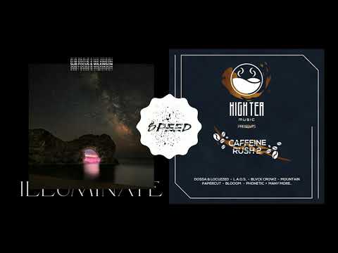 Illuminate X House (Dossa and Locuzzed Remix) - Sub Focus X Mountain