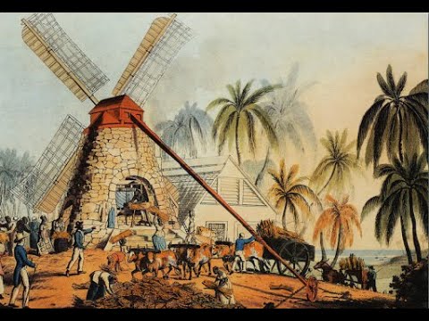 #6 Plantation Society