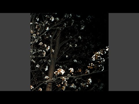 Something Else (feat. SCUM)