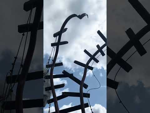 Expedition Everest 2024