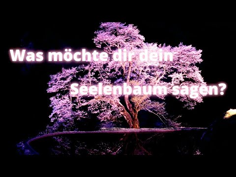 "Welche Botschaft hat Dein "SEELEN-BAUM" für Dich?"🌳 Die Energie deines Seelenbaum plus Channeling 🌠